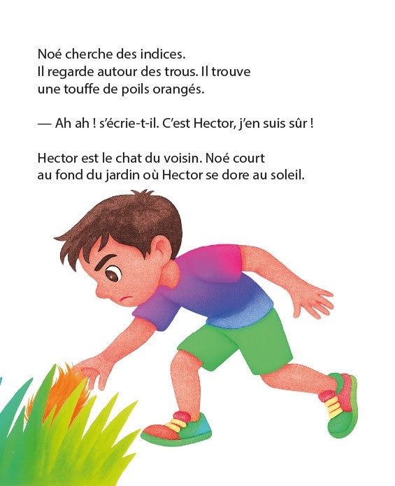 Noé et le mystère des tulipes