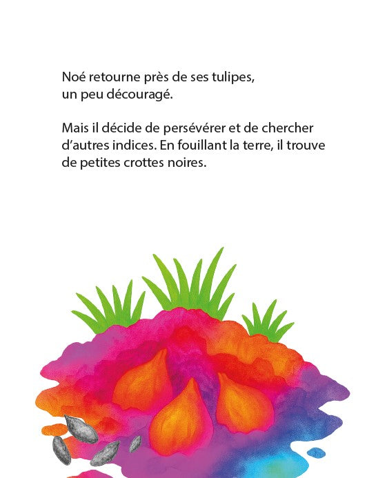 Noé et le mystère des tulipes