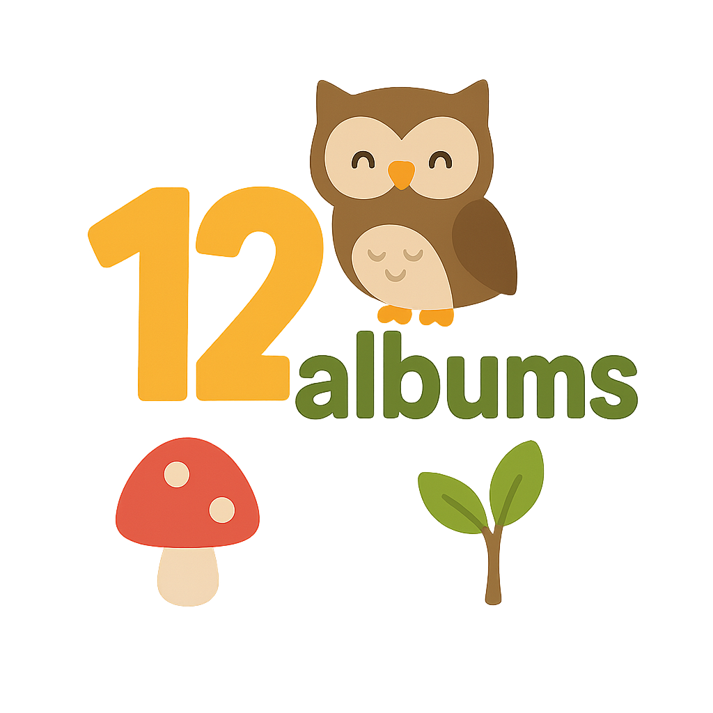 Abonnement 1 à 3 ans - 12 mois